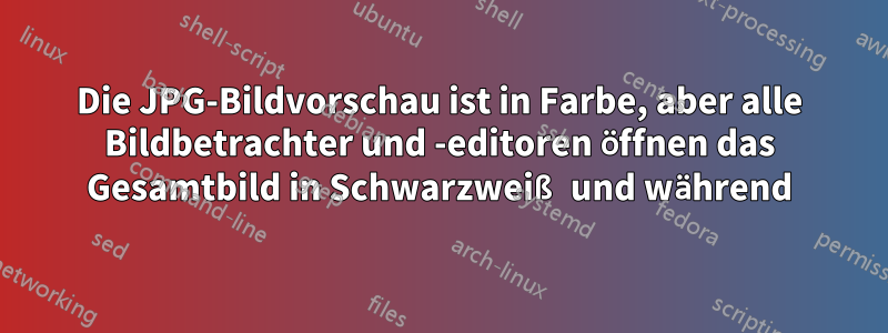 Die JPG-Bildvorschau ist in Farbe, aber alle Bildbetrachter und -editoren öffnen das Gesamtbild in Schwarzweiß und während