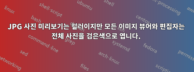 JPG 사진 미리보기는 컬러이지만 모든 이미지 뷰어와 편집자는 전체 사진을 검은색으로 엽니다.