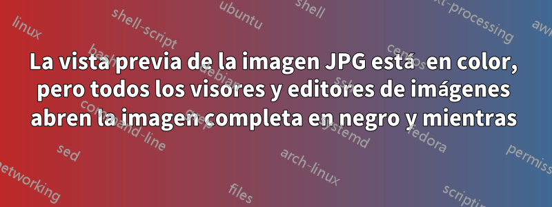 La vista previa de la imagen JPG está en color, pero todos los visores y editores de imágenes abren la imagen completa en negro y mientras