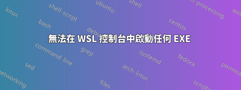 無法在 WSL 控制台中啟動任何 EXE