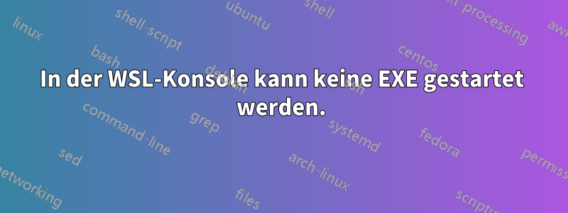 In der WSL-Konsole kann keine EXE gestartet werden.