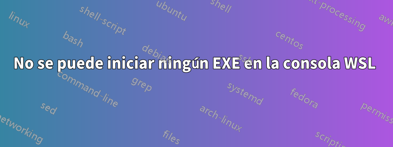 No se puede iniciar ningún EXE en la consola WSL