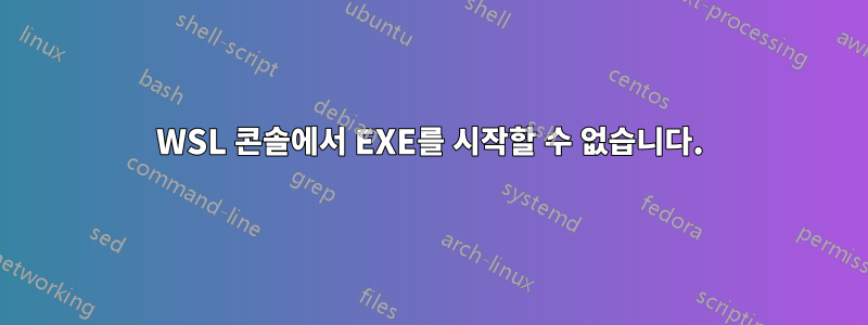 WSL 콘솔에서 EXE를 시작할 수 없습니다.