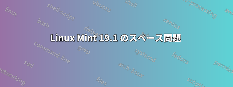 Linux Mint 19.1 のスペース問題