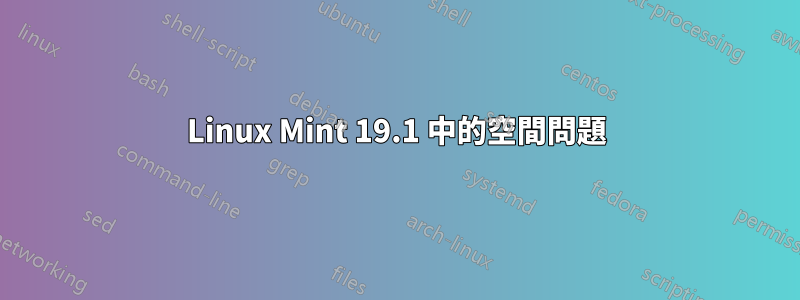 Linux Mint 19.1 中的空間問題
