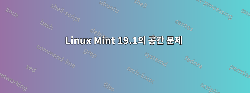Linux Mint 19.1의 공간 문제