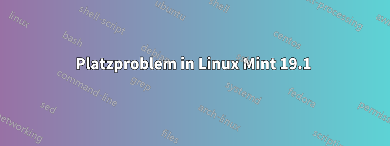 Platzproblem in Linux Mint 19.1