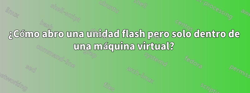 ¿Cómo abro una unidad flash pero solo dentro de una máquina virtual?