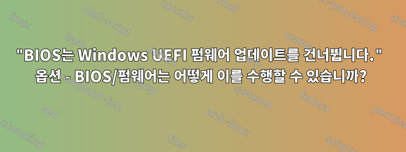 "BIOS는 Windows UEFI 펌웨어 업데이트를 건너뜁니다." 옵션 - BIOS/펌웨어는 어떻게 이를 수행할 수 있습니까?