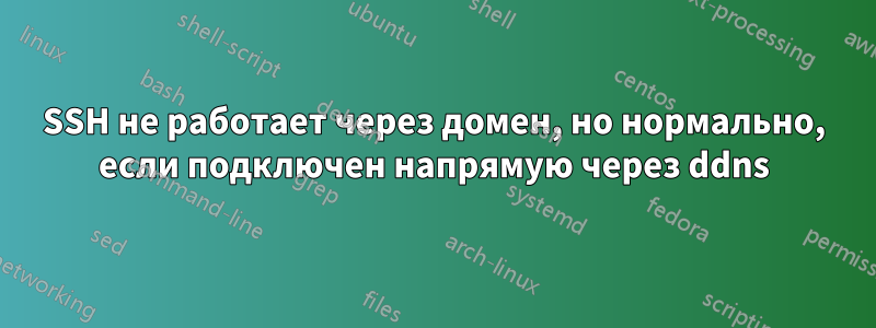 SSH не работает через домен, но нормально, если подключен напрямую через ddns