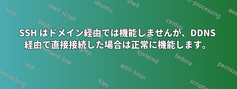 SSH はドメイン経由では機能しませんが、DDNS 経由で直接接続した場合は正常に機能します。