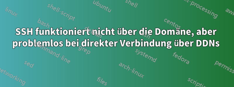 SSH funktioniert nicht über die Domäne, aber problemlos bei direkter Verbindung über DDNs