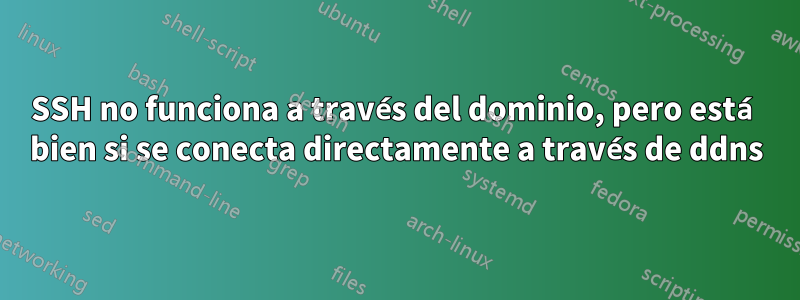 SSH no funciona a través del dominio, pero está bien si se conecta directamente a través de ddns