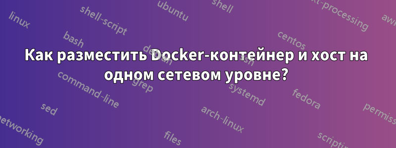 Как разместить Docker-контейнер и хост на одном сетевом уровне?