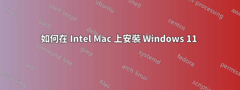 如何在 Intel Mac 上安裝 Windows 11