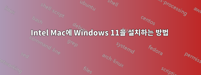 Intel Mac에 Windows 11을 설치하는 방법