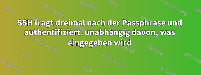 SSH fragt dreimal nach der Passphrase und authentifiziert, unabhängig davon, was eingegeben wird