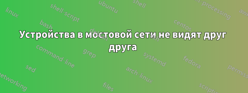 Устройства в мостовой сети не видят друг друга