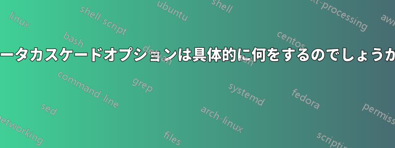 ルータカスケードオプションは具体的に何をするのでしょうか? 