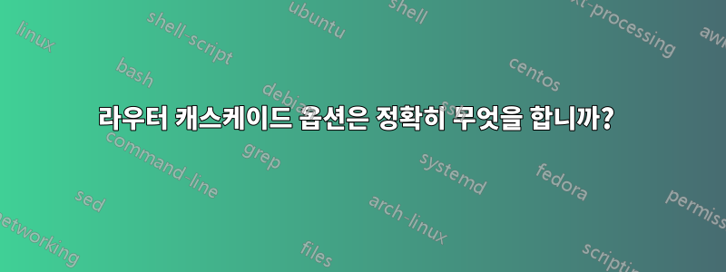 라우터 캐스케이드 옵션은 정확히 무엇을 합니까? 