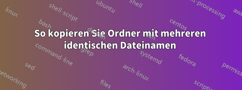 So kopieren Sie Ordner mit mehreren identischen Dateinamen