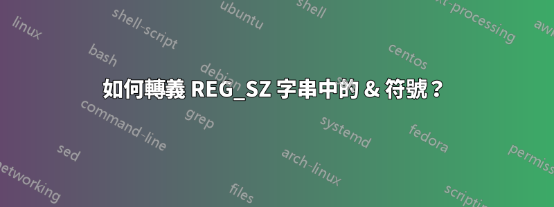 如何轉義 REG_SZ 字串中的 & 符號？