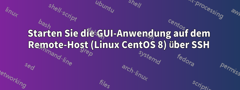 Starten Sie die GUI-Anwendung auf dem Remote-Host (Linux CentOS 8) über SSH