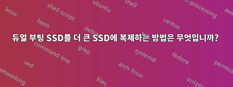 듀얼 부팅 SSD를 더 큰 SSD에 복제하는 방법은 무엇입니까?