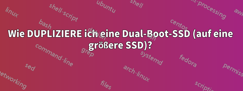 Wie DUPLIZIERE ich eine Dual-Boot-SSD (auf eine größere SSD)?