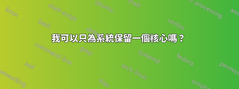 我可以只為系統保留一個核心嗎？