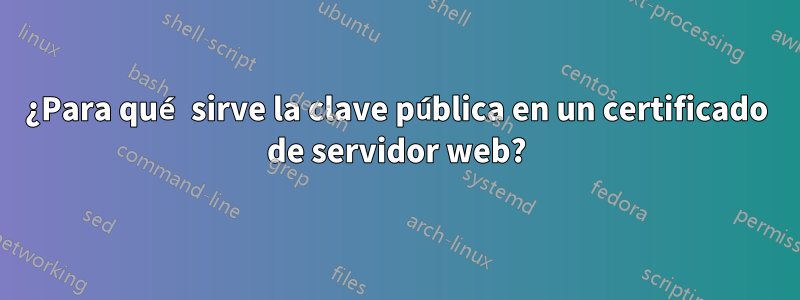 ¿Para qué sirve la clave pública en un certificado de servidor web?