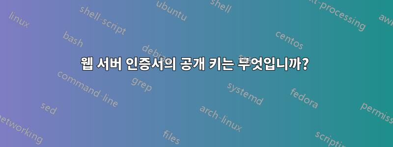 웹 서버 인증서의 공개 키는 무엇입니까?