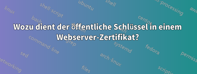 Wozu dient der öffentliche Schlüssel in einem Webserver-Zertifikat?