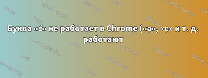 Буква «ć» не работает в Chrome («ą», «ę» и т. д. работают)