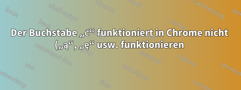 Der Buchstabe „ć“ funktioniert in Chrome nicht („ą“, „ę“ usw. funktionieren)