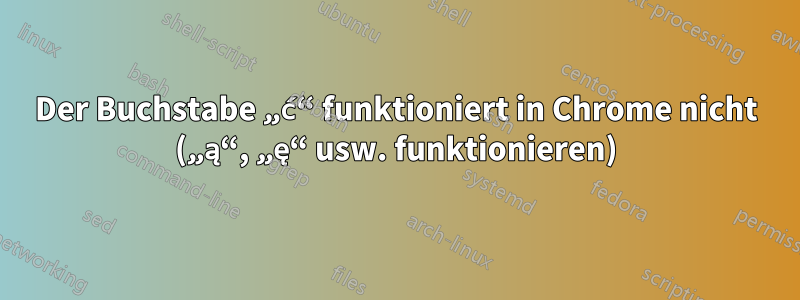 Der Buchstabe „ć“ funktioniert in Chrome nicht („ą“, „ę“ usw. funktionieren)