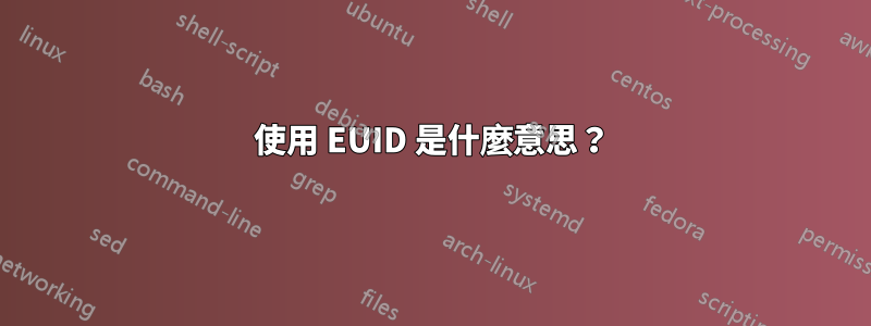 使用 EUID 是什麼意思？