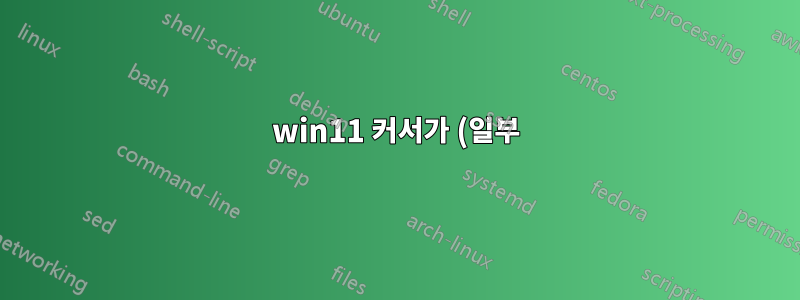 win11 커서가 (일부) 클릭 가능한 객체에서 보이지 않게 됩니다.