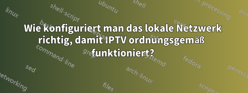 Wie konfiguriert man das lokale Netzwerk richtig, damit IPTV ordnungsgemäß funktioniert?