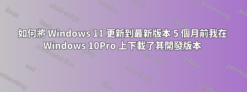 如何將 Windows 11 更新到最新版本 5 個月前我在 Windows 10Pro 上下載了其開發版本