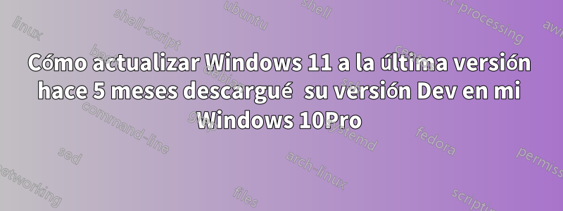 Cómo actualizar Windows 11 a la última versión hace 5 meses descargué su versión Dev en mi Windows 10Pro