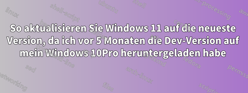 So aktualisieren Sie Windows 11 auf die neueste Version, da ich vor 5 Monaten die Dev-Version auf mein Windows 10Pro heruntergeladen habe