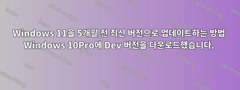 Windows 11을 5개월 전 최신 버전으로 업데이트하는 방법 Windows 10Pro에 Dev 버전을 다운로드했습니다.