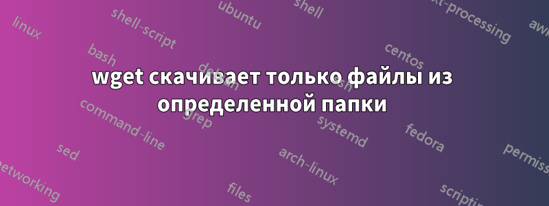 wget скачивает только файлы из определенной папки