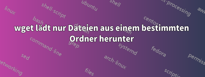 wget lädt nur Dateien aus einem bestimmten Ordner herunter