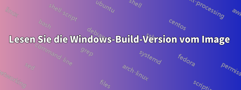 Lesen Sie die Windows-Build-Version vom Image