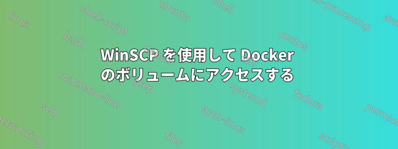 WinSCP を使用して Docker のボリュームにアクセスする