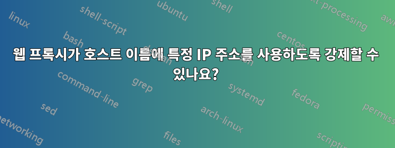 웹 프록시가 호스트 이름에 특정 IP 주소를 사용하도록 강제할 수 있나요?