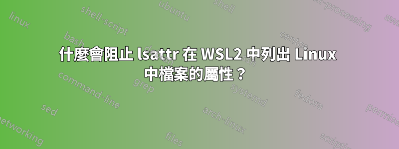 什麼會阻止 lsattr 在 WSL2 中列出 Linux 中檔案的屬性？ 