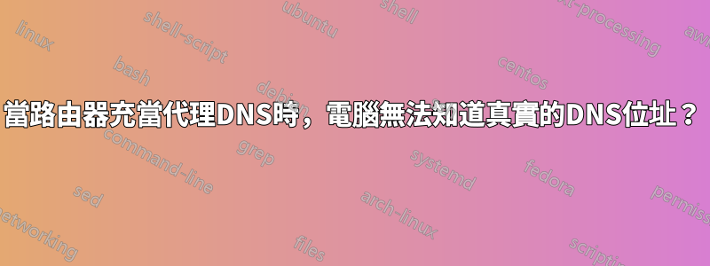 當路由器充當代理DNS時，電腦無法知道真實的DNS位址？